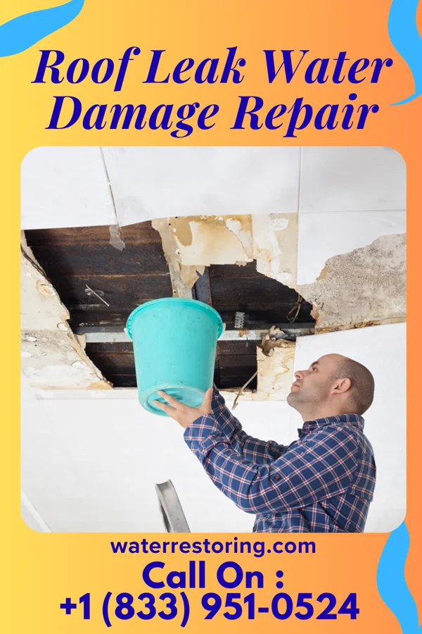 Roof Leak Water Damage Repair in Mason, TX